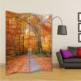 MonoStella Stellastore Sonbahar Yolu 4 Kanatlı Oda Bölücü Çift Taraflı Kanvas Paravan - 160 x 180 cm - Renkli