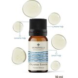 Monoville Okyanus Esintisi Uçucu Yağ Karışımı 10 ml (Ocean Breeze Essential Oil Blend)