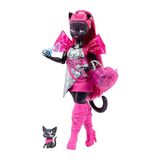 Monster High Acayip Havalı Arkadaşlar Catty Noir Oyun Seti Hxh76