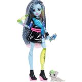 Monster High Ana Karakter Bebekler Frankiestein JHK31