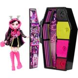 Monster High Gizemli Arkadaşlar 3.seri Draculaura HNF78