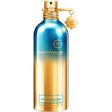 Montale Aoud Lagoon Edp 100 ml Unisex Parfüm - 001-Renkli