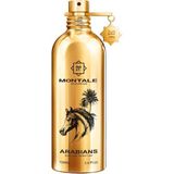 Montale Arabians Edp 100 ml Unisex Parfüm - 001-Renkli
