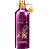 Montale Arabians Rose Edp 100 Ml Unisex Parfüm