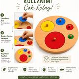 Montessori Gemisi Montessori Şekil Plakaları Renkli Daireler | Ahşap Toddler Geometri Bul-Tak Oyuncağı (1-3 Yaş) | Toddler Materyal | Ahşap Oyuncak | Okul Öncesi Eğitim Materyali