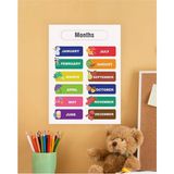 Months-Aylar Ingilizce Çocuk Eğitim Tekli Pvc Poster 21X30 cm