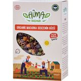 Montreal Hüma Organik Sebzenin Gücü Makarna 250 G ( 1 Adet )