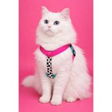 MOOD PAW Kedi Göğüs Tasması Sugar Mood Çekiştirme Önleyici Ayarlanabilir H Tipi Tasma