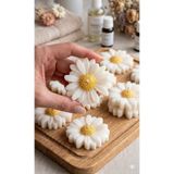 Moods and Moments Papatya Mum 10 Adet | Suda Yüzen Mum Düğün, Nişan, Söz, Doğum Günü Hediyelik Mum