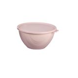 Moon Star Elegance Kapaklı Hava Ve Koku Sızdırmaz Yemek Saklama Kabı 0,5 Litre-rbk-310 Krem