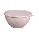 Moon Star Elegance Kapaklı Hava ve Koku Sızdırmaz Yemek Saklama Kabı 1 Litre-RBK-311 AÇIK GÜL KURUSU