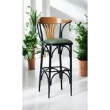 Moontime Alaçatı Bar Sandalyesi Özel Üretim YEŞIL-KAHVE-T169/75 (Oturma Yüksekliği 75CM) Metal Iskelet, Ahşap Kolçak - 000-Siyah
