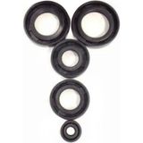 Moontime Alaçatı Cg Krank / Karter Keçe Seti / Takımı - 125 /150 / 200 cc - 5 Li