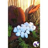 Mor Balon 1 kg 4-6 cm Dolomit Taş Tamburlanmış Beyaz Dekoratif Akvaryum Taşı Süs Taşı
