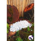 Mor Balon 2 kg 1 - 2 cm Dolomit Taş Tamburlanmış Beyaz Dekoratif Taş