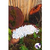Mor Balon 4 kg 1 - 2 cm Dolomit Taş Tamburlanmış Beyaz Dekoratif Taş