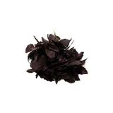 Mor Reyhan Tohumu Paket 1 Gram