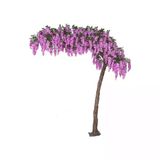 Mor Salkım Fidanı Fidesi 10-20 Cm