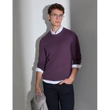 Mor Slim Fit Bisiklet Yaka Basic Triko Kazak 50314192 VR038