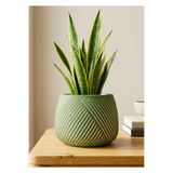 mora store Bohem İskandinav Çizgili Dekoratif Beton Saksı Yeşil 12x13 cm | Modern Ev Ofis Saksısı