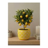 mora store Bohem İskandinav Tarz Dekoratif Beton Sarı Saksı 13×12 cm | Ev–Ofis Dekorasyon Modern Saksı