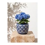 mora store Dekoratif Beton Saksı Mavi Bohem İskandinav Tarz 13x12 cm | Modern Ev Ofis Saksısı