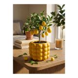 mora store Dekoratif Bubble Beton Sarı Saksı İskandinav Tarz Modern Saksı 14,5x12 cm