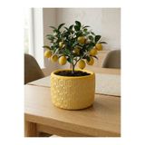 mora store Modern Bohem Sarı Beton Saksı 14x10 cm | Dekoratif Çiçeklik | Ev Ofis Şık Masa Saksısı