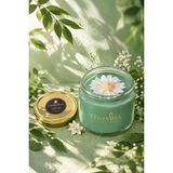 Moresun Golden Wick Nergis Kokulu Papatya Mum - Yeşil