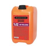 Morfose %12 40 Volume 4 lt Oksidan Krem