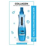 Morfose Çift Fazlı Kolajen Içeren Fön Suyu 240 Ml - Nemini Yitirmiş , Kuru Kırılgan Saçlar