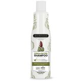 Morfose Kinoa Protein 500 ml Şampuan