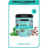 Morfose Kinoa Saç Maskesi Yıpranmış Saçlar İçin Dökülme Karşıtı 500 ml İpeksi Yumuşaklık