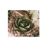 morlalem m 5,7cm Agavoides Echeveria Sukulent Çiçek Silikon Kalıp K-1313, Kokulu Taş Sabun Alçı Mum Kalıbı