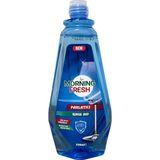Morning Fresh Bulaşık Makinesi Parlatıcı
