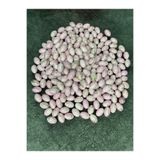 Mos Tespih 2 Adet Gold İşlemeli Üst Düzey 11x17mm Plastik Boncuk