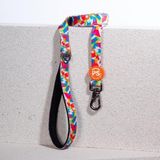 Mosaic Leash Kedi Köpek Sevk & Gezdirme Kayışı Köpek Uzatma Tasması