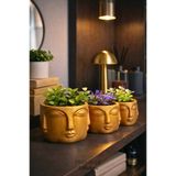 Mosarte Buda Series Minimalist Soyut Yüz Vazo / Heykel – Modern Dekoratif Obje 3'lü set (Büyük/Orta/Küçük) - Altın Renk