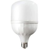 Moss Light 30W Torch Led Ampul E27 2700 Lümen Yüksek Watt MS-3097