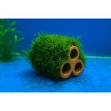 Moss Sarılı 3 Lü Seramik Akvaryum Dekoru 7 cm Karides Yuvası için İdeal Yapı