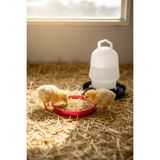 Mossem Civciv Suluk 0,75 ml Kaliteli Plastik + Tabak Yemlik