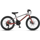 Mosso Demarch M-20-Md Erkek Çocuk Bisikleti 228H 20 Jant 21 Vites Grey Red - Çok Renkli