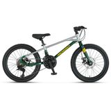Mosso Demarch M-20-Md Erkek Çocuk Bisikleti 228H 20 Jant 21 Vites Silver Green