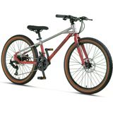 Mosso Demarch M-24-Md Erkek Dağ Bisikleti 280H 24 Jant 21 Vites Grey Red