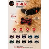 Mosso Steel Evcil Hayvan İsimlik Köpek Künyesi Kemik Şeklinde Köpek İsimliği Dayanıklı ve Şık Evcil Hayvan İsimliği - 10 cm e kadar