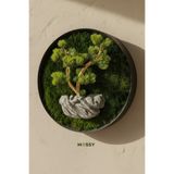 Mossy Decor Yapay Bonsai Ağacı Yosun Tablo, Şoklanmış Doğal Yosunlu 3D Dekoratif Duvar Tablosu
