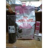 Mother&Babycat Anne Ve Yavru Kedi Kuru Mama 4 Kg +100X30 Cm Tırmalama Halısı+1 Adet Yavru Kedi Malt 100 Gr+1 Adet Otomatik Yuvarlanan Şarjlı Kedi Oyun Topu