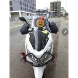 MOTOCAM Honda PCX Ön Cam 2014-2017 Model 65cm Şeffaf Renkli 4mm ORTA BOYLU hondpcx1765se