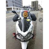Motocam Honda Pcx Ön Cam 2014-2017 Model 65Cm Şeffaf Renkli 4Mm Orta Boylu