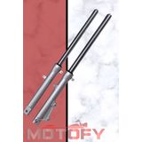 Motofy Honda Cbf 150 On Amortısor Komple Takımı
